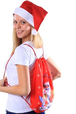 Купить Рюкзак Уолкер "Дед Мороз" 30х40 см