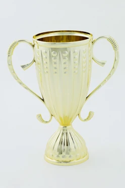 Чаша для кубка C3030#2