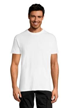 Купить футболку мужскую REGENT 150