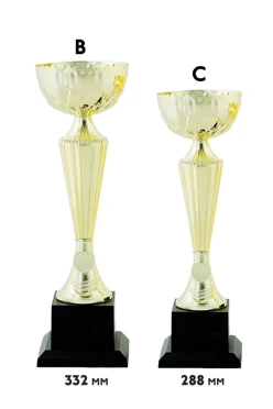 Купить кубок ИК0013