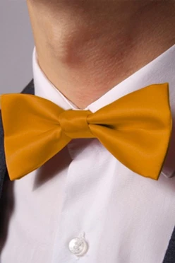 Купить оранжевый галстук-бабочка Эксперт