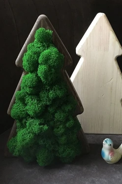 Ёлка со стабилизированным мхом, 20х30 см