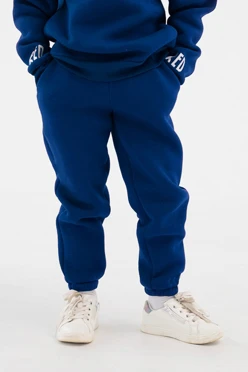 Купить брюки Хит из футера с начесом детские, однотонные синие