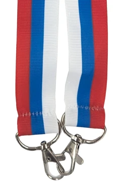 Лента для бейджа репс ширина 2,5 см, с двумя карабинами, с печатью#2