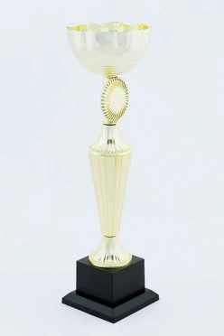 Кубок ИК0016#1