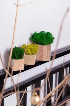 Стабилизированный мох в деревянном кубе маленький