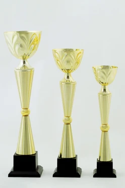 Кубок ИК0022#1