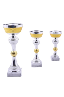 Кубок КМ2431#1