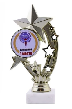 Приз Звезда В208#2