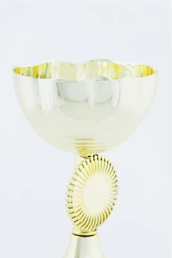 Кубок ИК0016#2