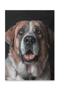 Блокнот фирменный А5 на скобе (40 листов без печати) с принтом "You can trust your secrets"#1