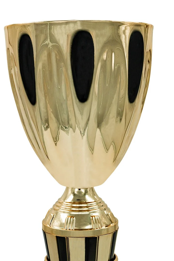 Кубок ИК0084#1