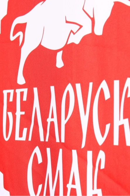 Тент с полной запечаткой (с козырьком) 2х2 м#2