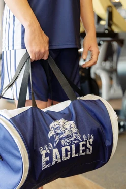 Купить сумку Олимп "Eagles"