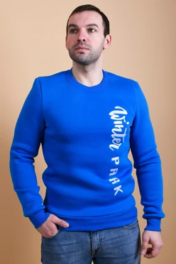 Купить толстовку Тревис унисекс "Winter park"