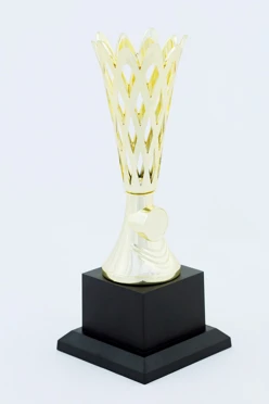 Кубок ИК0008#1