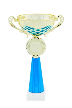 Кубок ИК0018#2