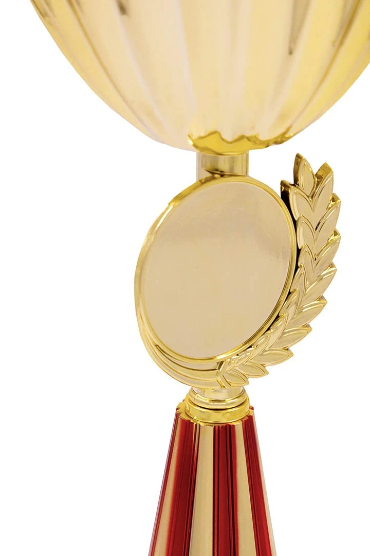 Кубок ИК0066#2