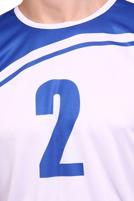 Волейбольная форма Хэнди мужская с полной запечаткой "CASEY 2"#5