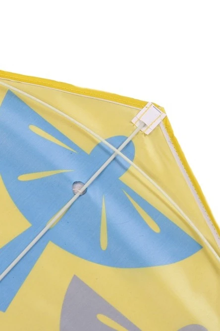 Воздушный змей Парус с полной запечаткой "Wings of Parma"#3