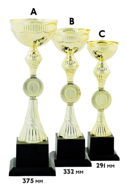 Купить кубок ИК0026