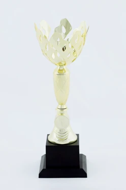 Кубок ИК0017#1