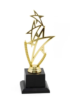 Приз Три звезды В217#1