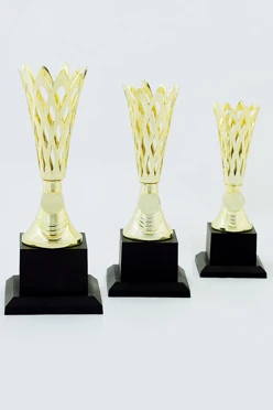 Кубок ИК0008#2