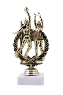 Приз Волейбол 1457-G#1