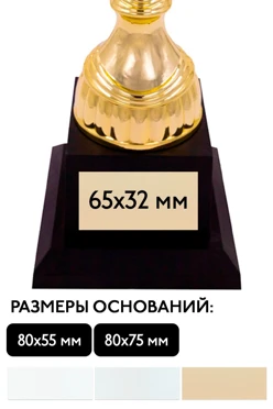 Шильд прямоугольный 65x32 мм#2