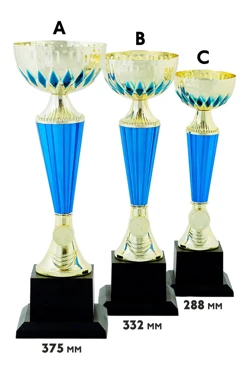 Купить кубок ИК0012