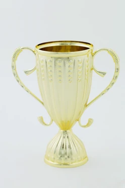 Купить чашу для кубка C3030