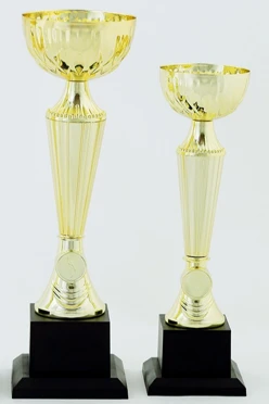 Кубок ИК0013#1