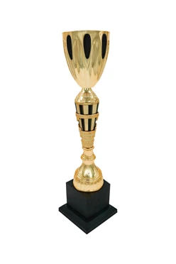 Кубок ИК0084#1