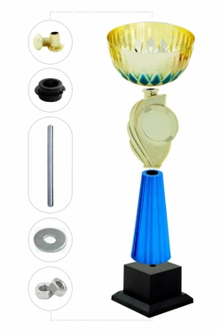 Кубок ИК0031#2