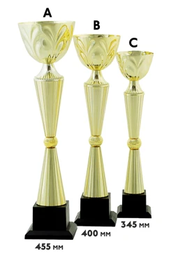 Купить кубок ИК0022
