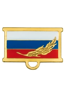 Купить колодку флаг РФ золотая ветвь