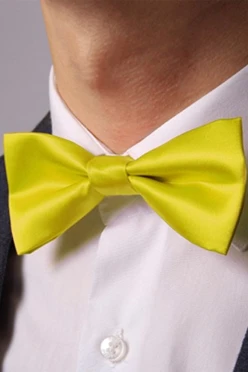 Купить Галстук-бабочку Эксперт желтую