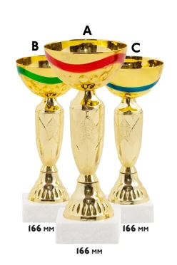 Купить кубок ИК0033