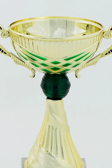 Кубок ИК0007#1