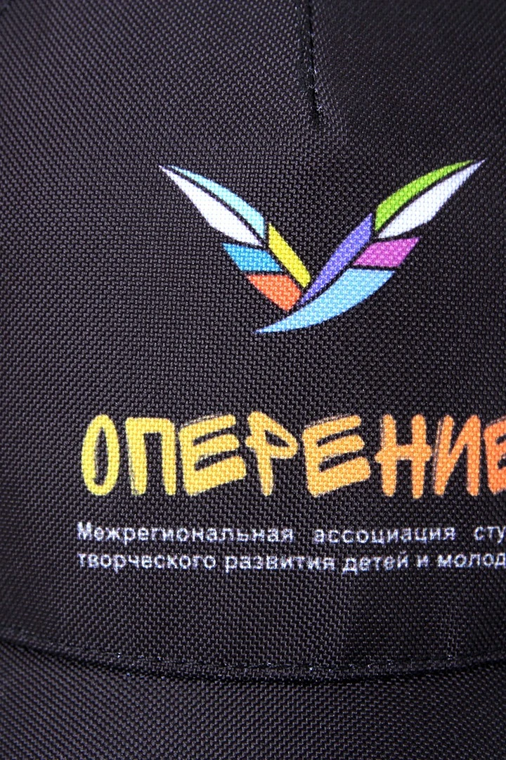 Бейсболка Стандарт взрослая с полной запечаткой (полиэстер) "Plumage"#1