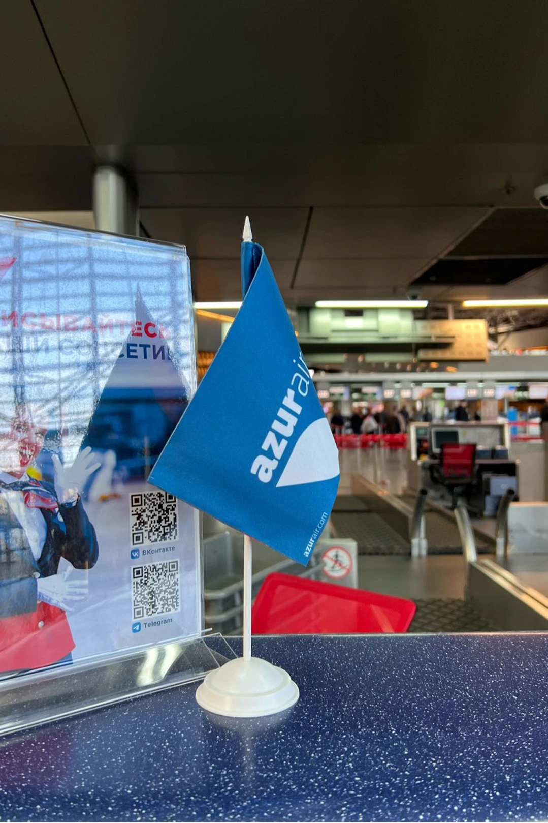 Флажок фирменный 12х18 см#2