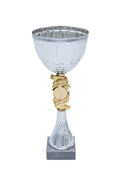 Кубок ИК0064#1