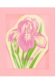 Открытка «Ирис» из коллекции Фигурный шоколад