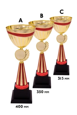 Купить кубок ИК0066