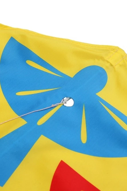 Воздушный змей Парус с полной запечаткой "Wings of Parma"#1