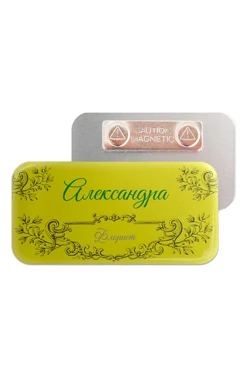 Купить бейдж металлический 30х60 мм без окна "Александра"
