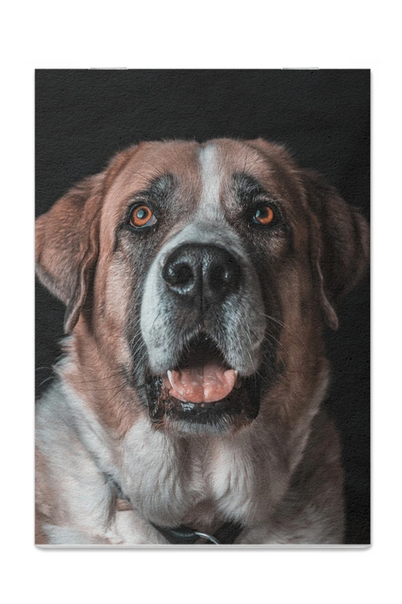 Блокнот фирменный А5 на скобе (40 листов без печати)#4 Блокнот фирменный А5 на скобе (40 листов без печати)#4