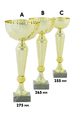 Купить кубок ИК0019