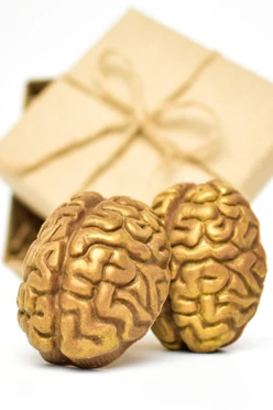 Купить шоколадный Мозг 2 шт 4,5 x 3,6 x 2 см (193) 50гр.